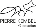 Pierre Kembel K9 equation